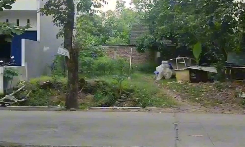 11b