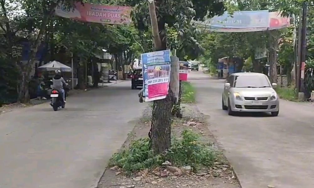 14a