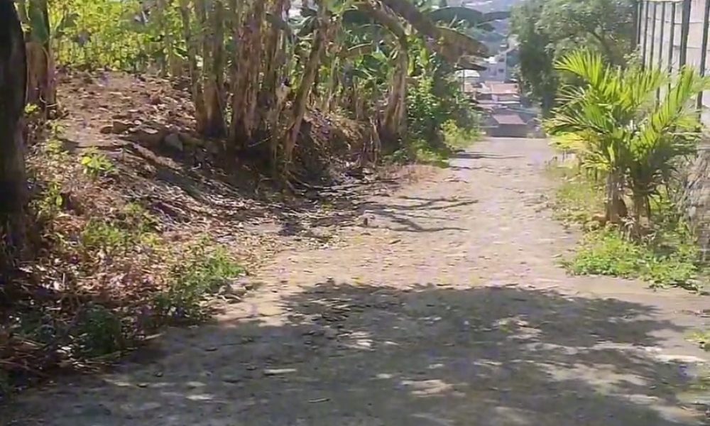 23b