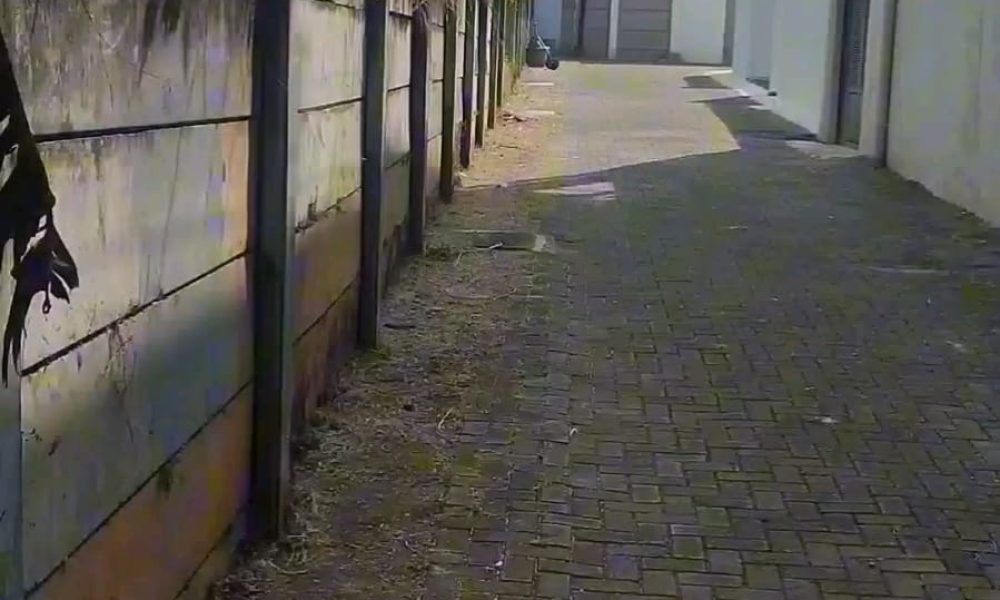 43e