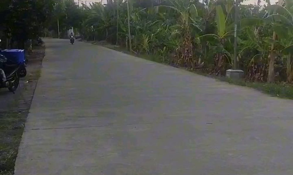 51a