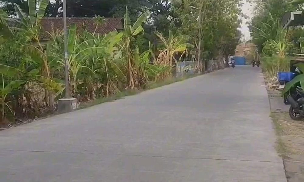 53a