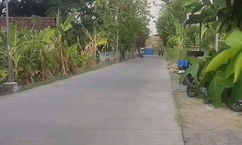 53b