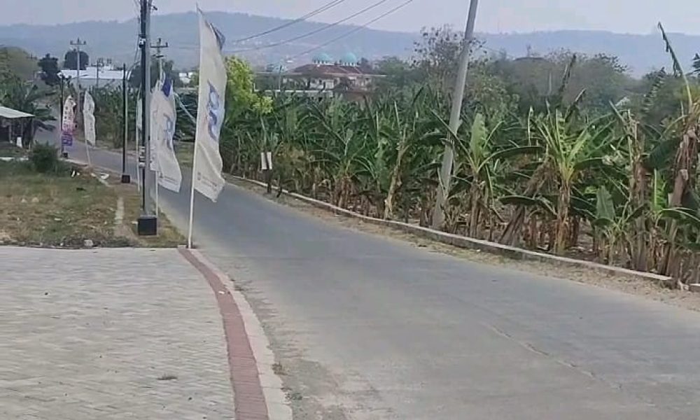 5d