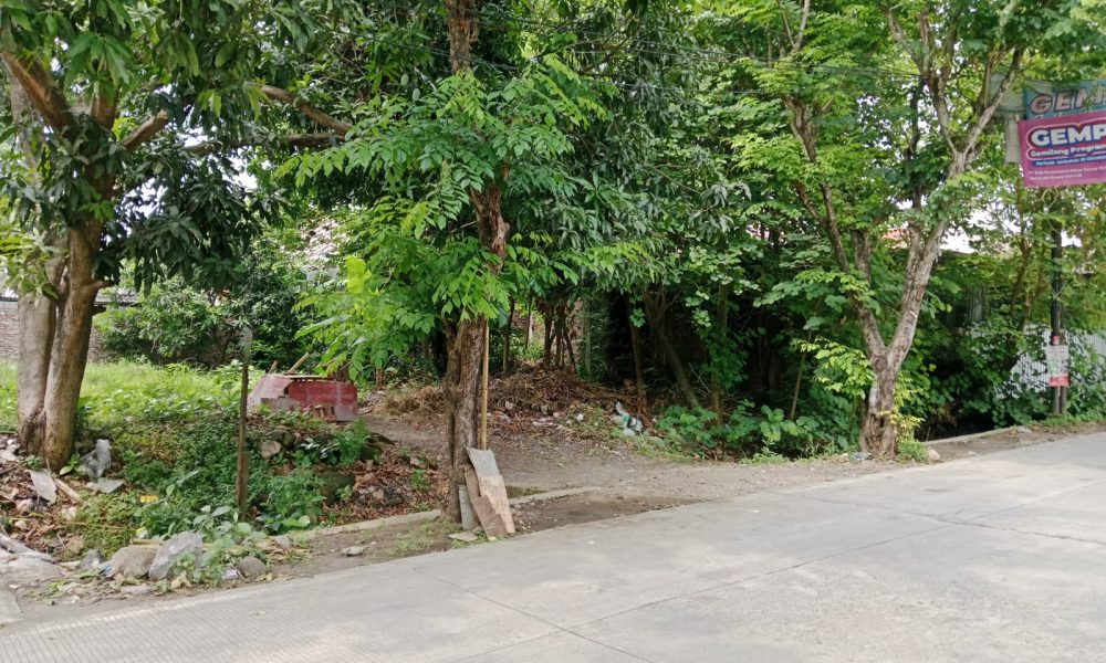 WhatsApp Image 2026-04-18 at 15.21.12