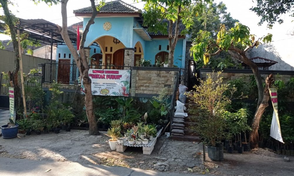 WhatsApp Image 2026-04-26 at 18.43.02