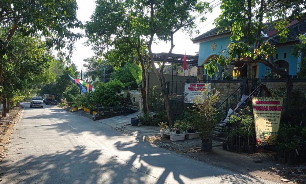 WhatsApp Image 2026-04-26 at 18.43.04